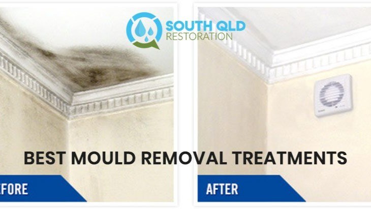 Mould Removal & Inspection Brisbane Image